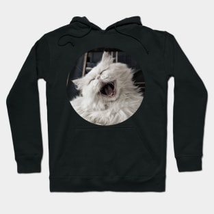 They say that NOTHING beats a good belly laugh! Hoodie